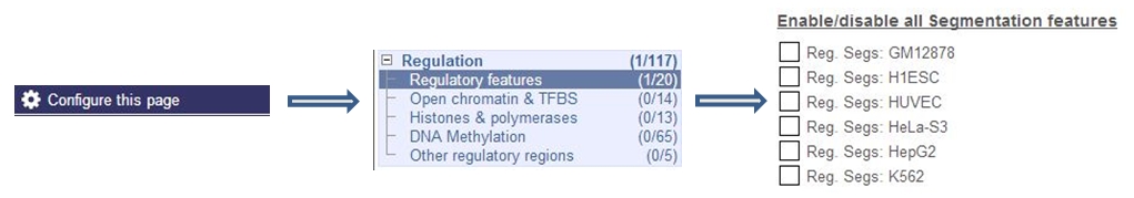 Selecting segmentation tracks